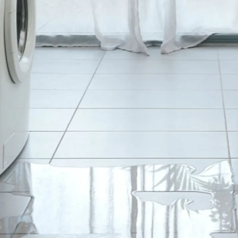Appliance Leak Cleanup in Westport, WA