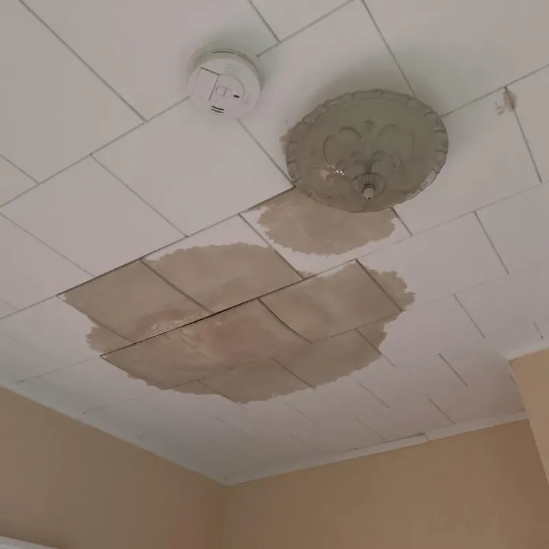 Ceiling Water Damage Repair in Westport, WA
